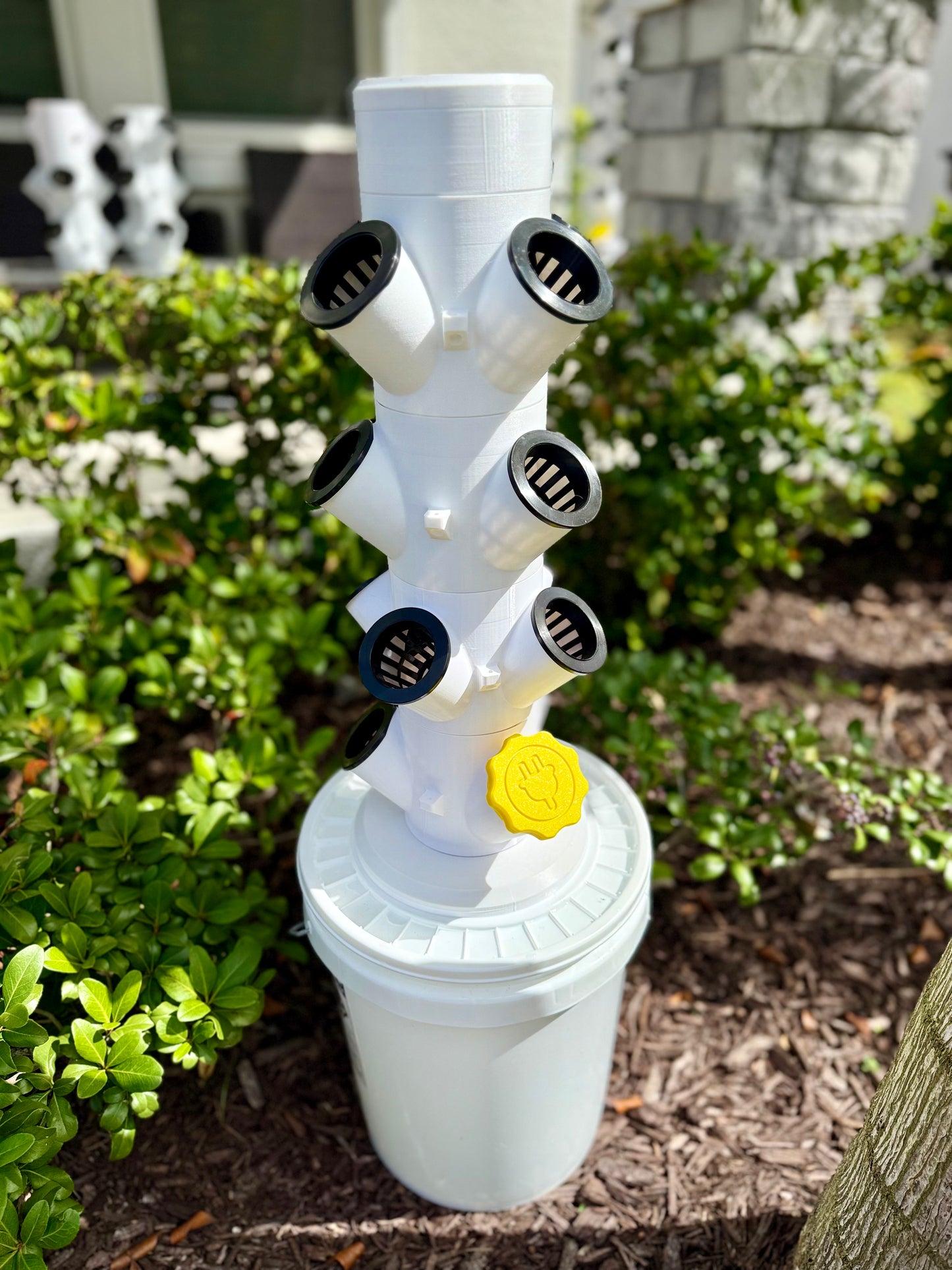 Hydroponic Tower Starter Kit, 12 Plant Cups, Compact Garden Kit for Home Growers