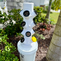 Hydroponic Tower Starter Kit, 12 Plant Cups, Compact Garden Kit for Home Growers