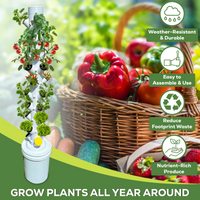 Hydroponic Tower Starter Kit, 12 Plant Cups, Compact Garden Kit for Home Growers