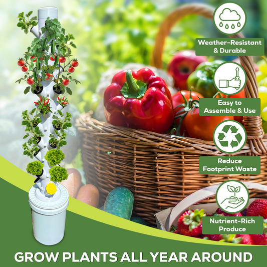 Hydroponic Tower Starter Kit, 12 Plant Cups, Compact Garden Kit for Home Growers