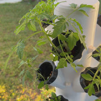 Hydroponic Tower Bundle, 24 Plant Cups, Garden Kit for Home Growers